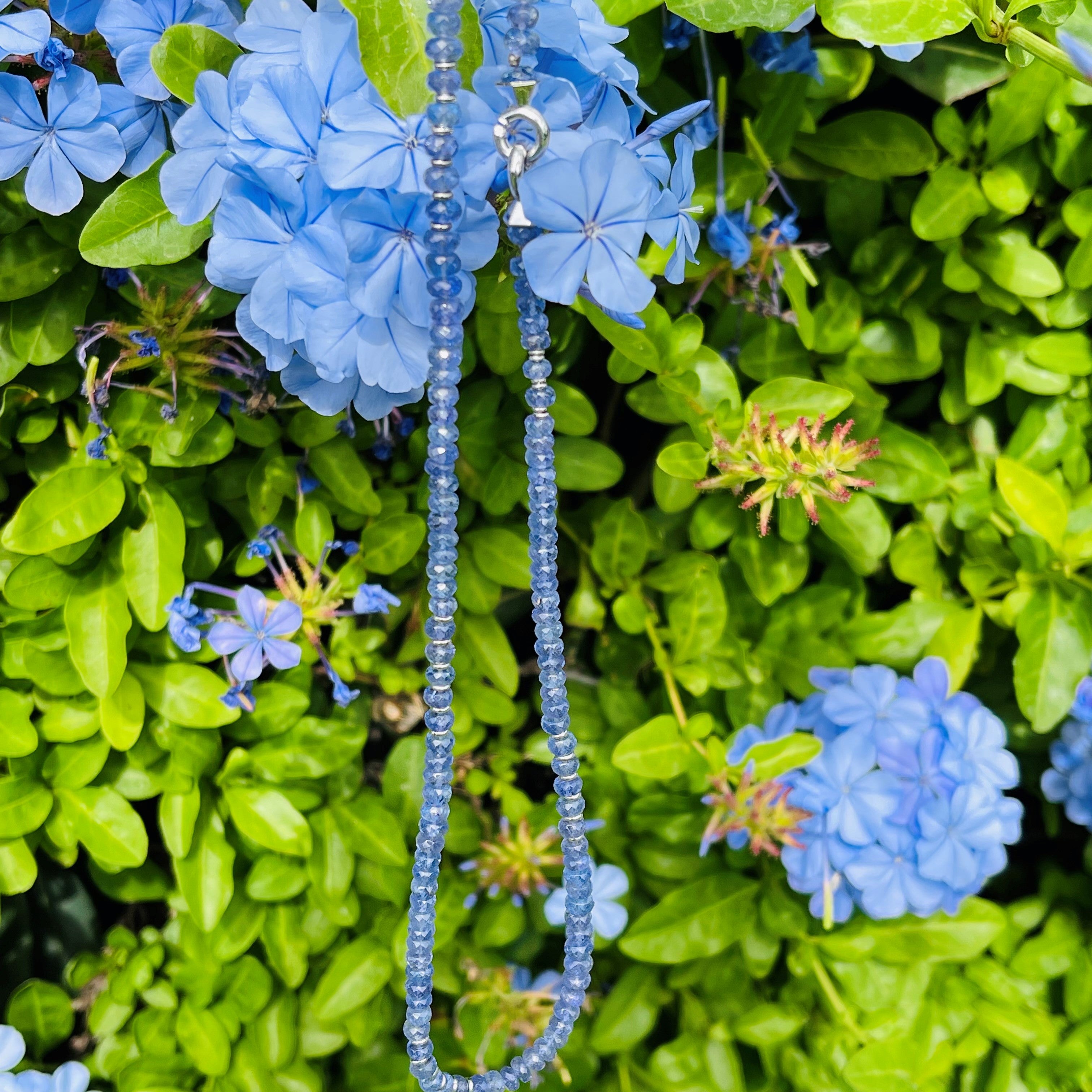 Tantalising Tanzanite White Gold Necklace
