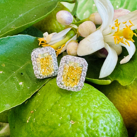 Silver Linings: “Diamond & Yellow Sapphire” Studs